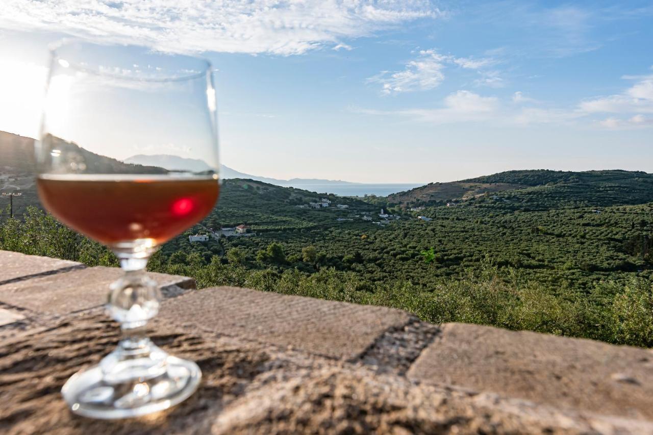Rikanthos Stone Sea View Apartment Ι Falelianá Eksteriør billede