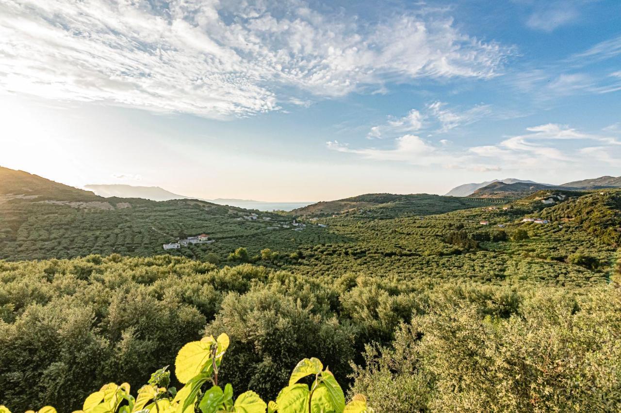 Rikanthos Stone Sea View Apartment Ι Falelianá Eksteriør billede